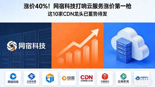 網宿科技打響云服務漲價第一槍 行業洗牌在即，軟件開發成本承壓