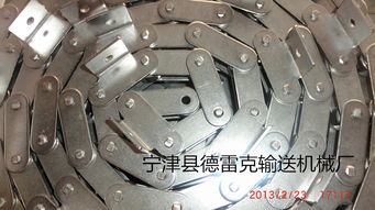 德雷克廠家直銷304不銹鋼鏈條 不銹鋼滾子鏈,德雷克廠家直銷304不銹鋼鏈條 不銹鋼滾子鏈生產(chǎn)廠家,德雷克廠家直銷304不銹鋼鏈條 不銹鋼滾子鏈價格