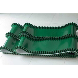 威海輸送帶_包裝機(jī)輸送帶_安耐工業(yè)皮帶_輸送帶_第一槍